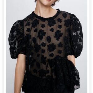 Zara Floral Sheer Organza Puff Sleeve Blouse